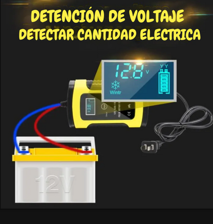 Cargador Auto Inteligente Batería 12v De Auto