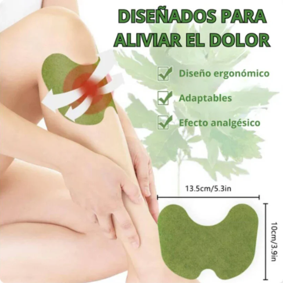 🌿 Parches Naturales para Dolor de Rodilla Wellnee (Pack de 20 y 40 parches) 🚚✨